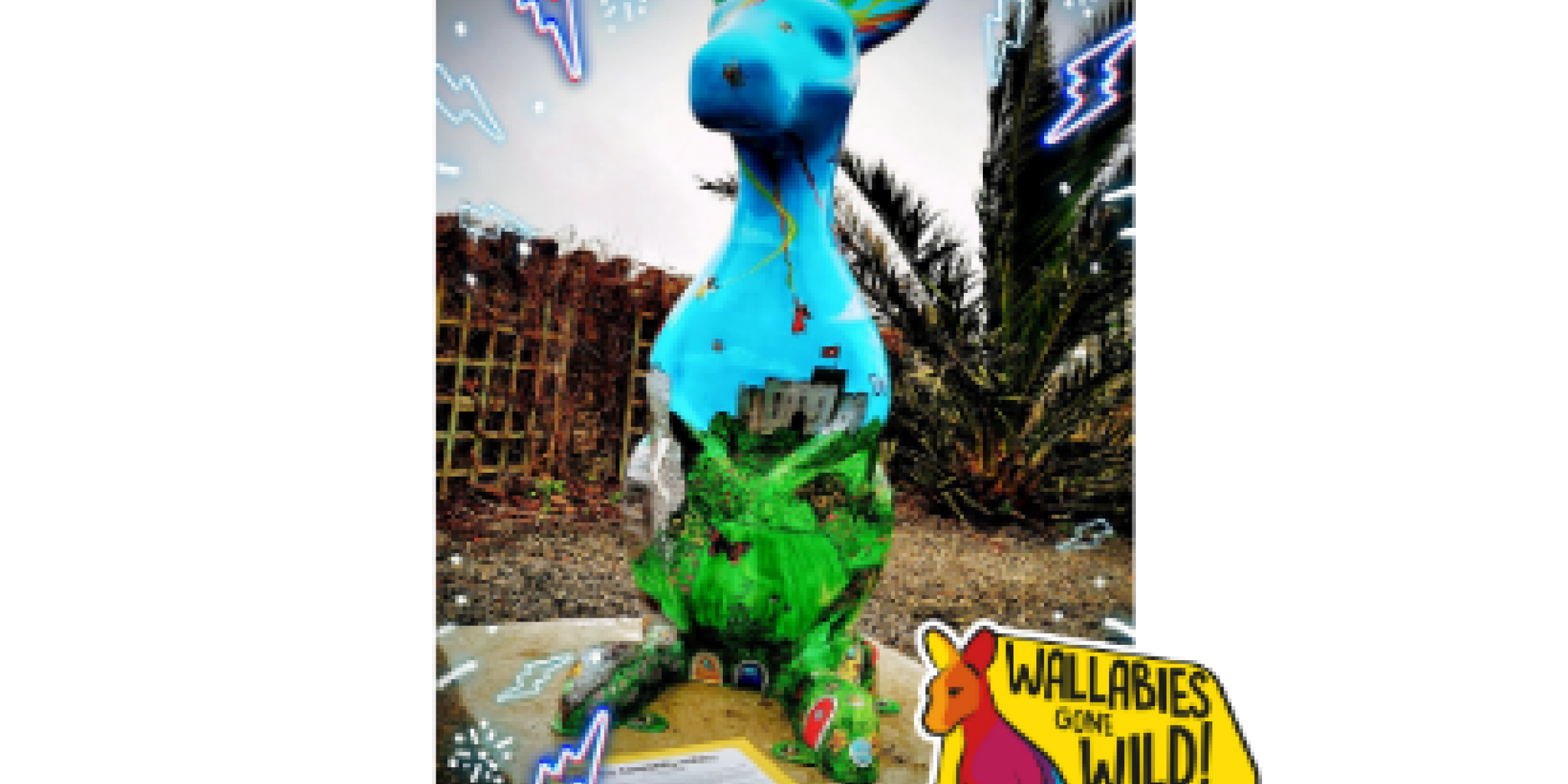 The Community Wallaby
